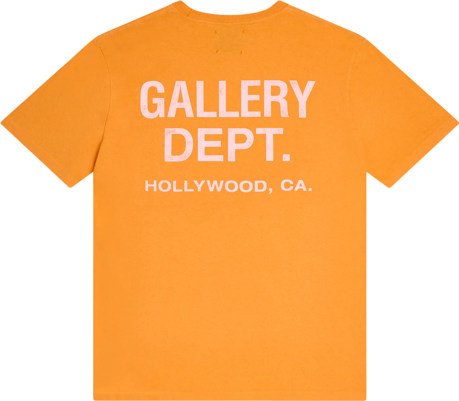 GDPT T-Shirt