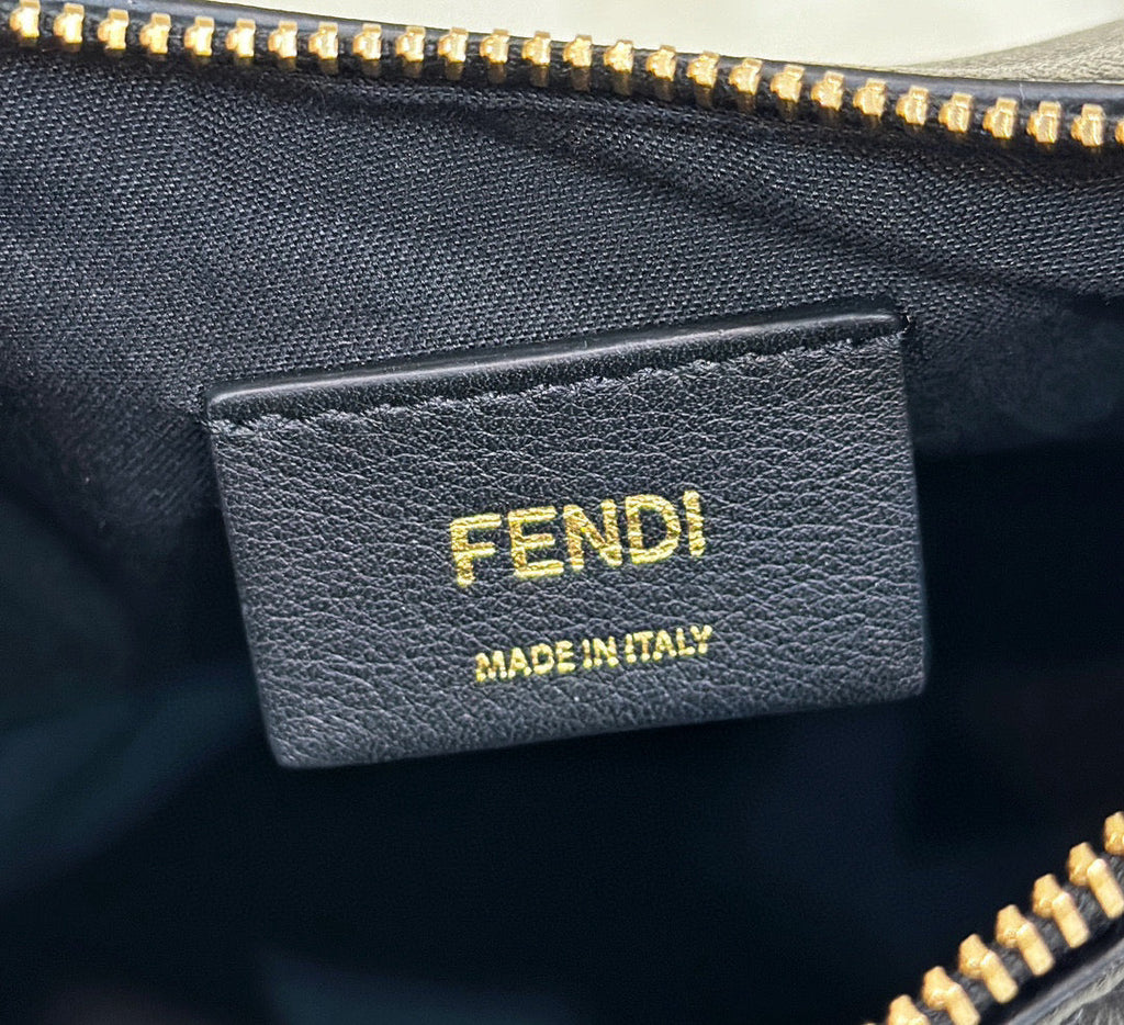 FD Fendigraphy Mini