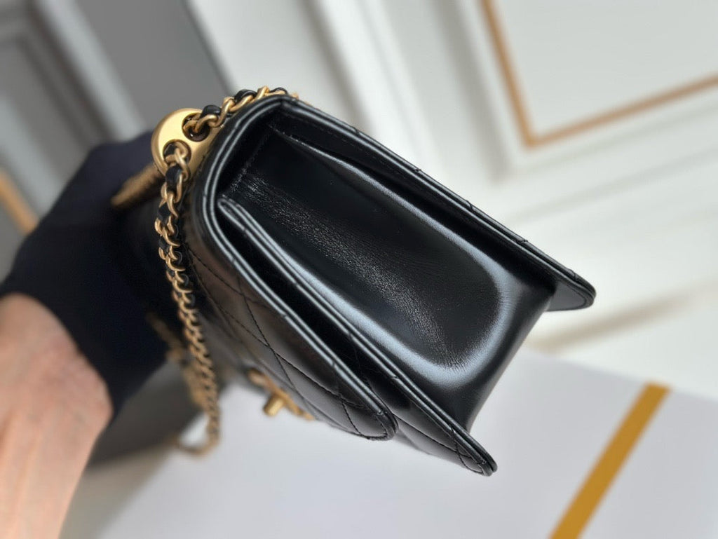 CNL 24C CF Bag