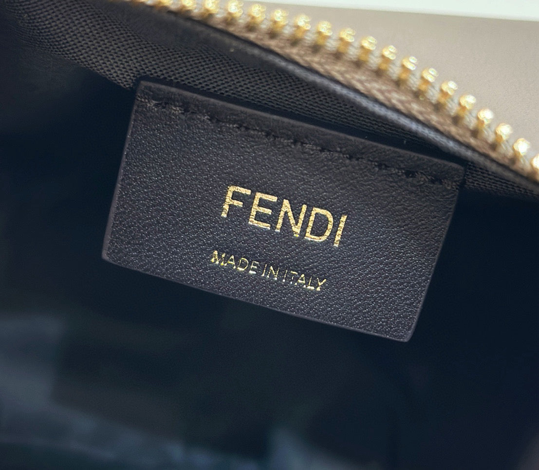 FD Fendigraphy Mini