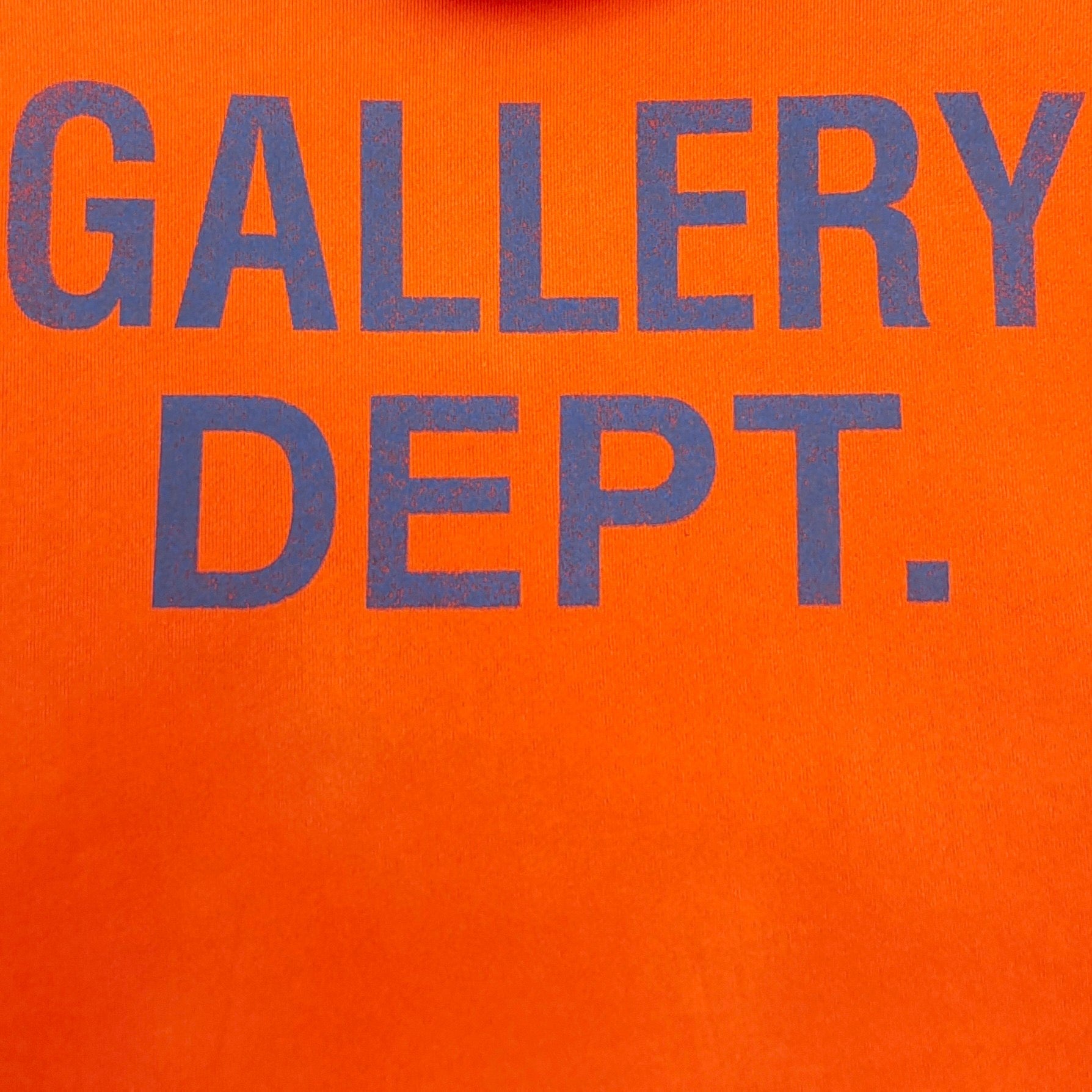 GDPT Hoodie