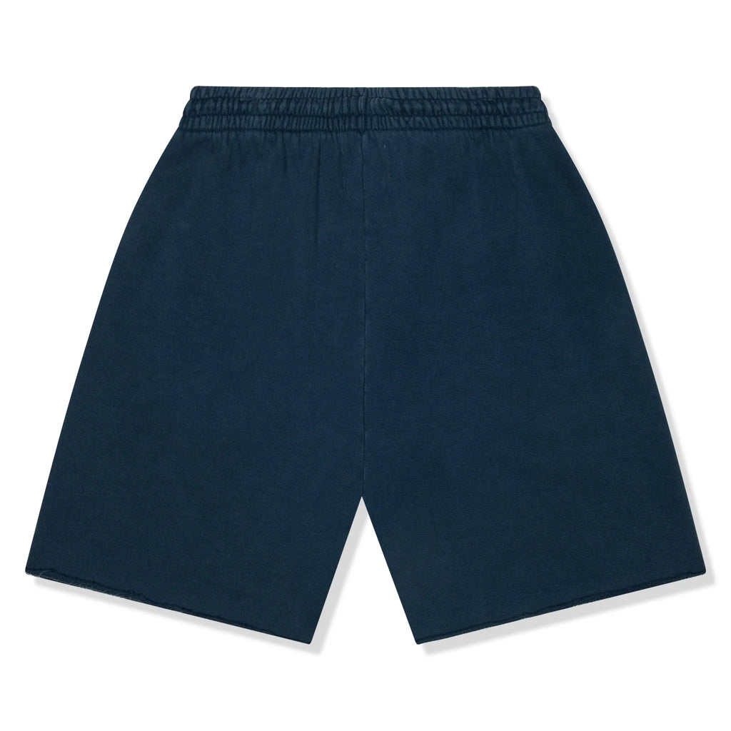 DMT University Navy Shorts