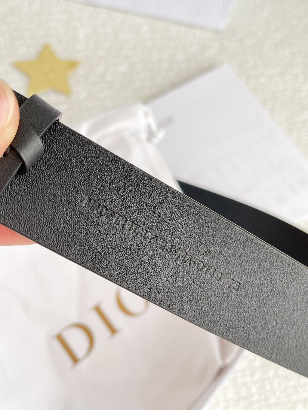 CD Belt