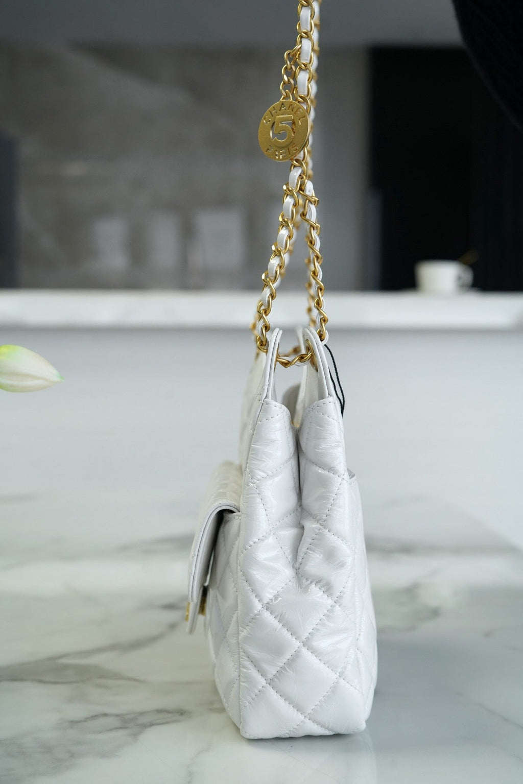CNL 23C Hobo Bag