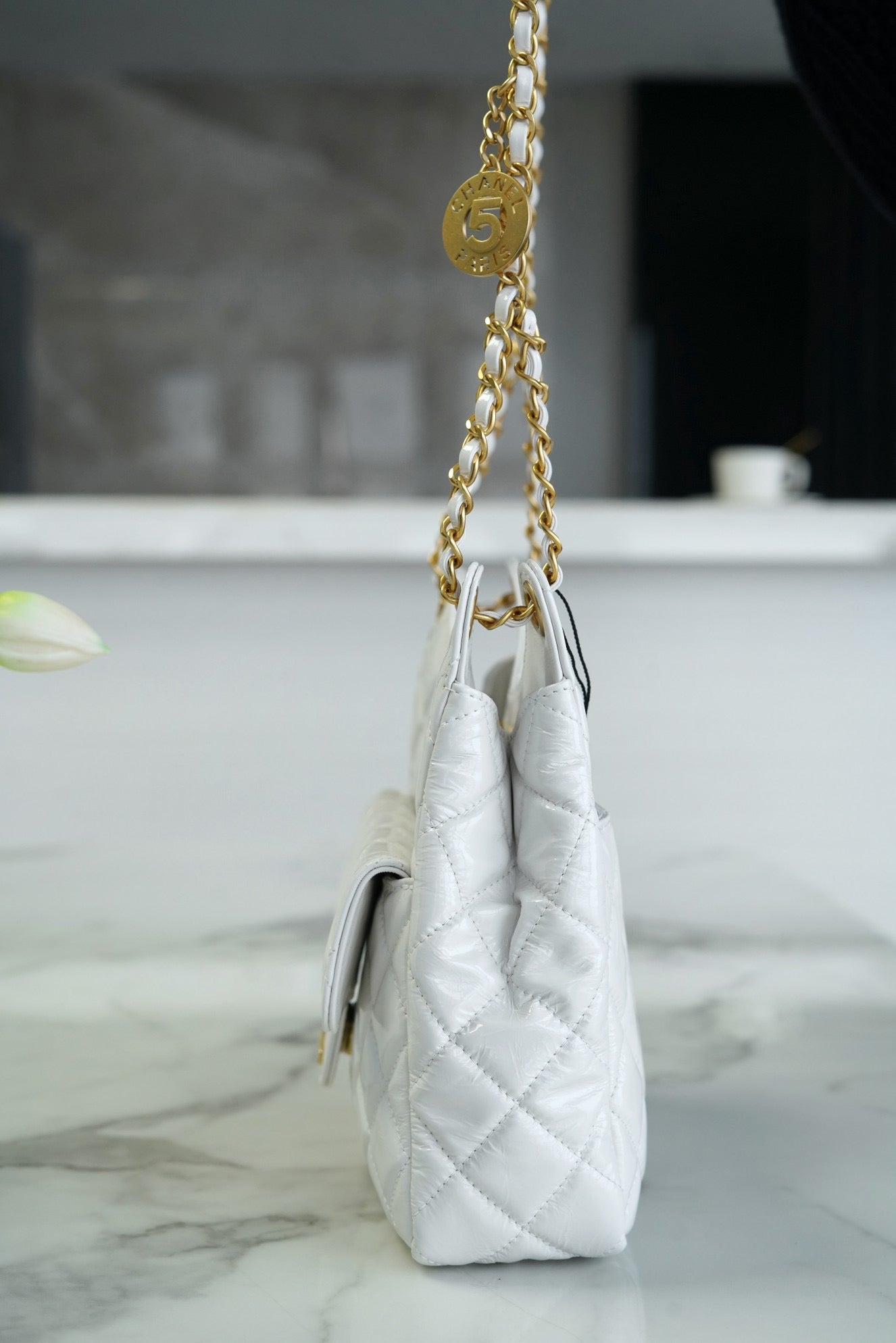 CNL 23C Hobo Bag