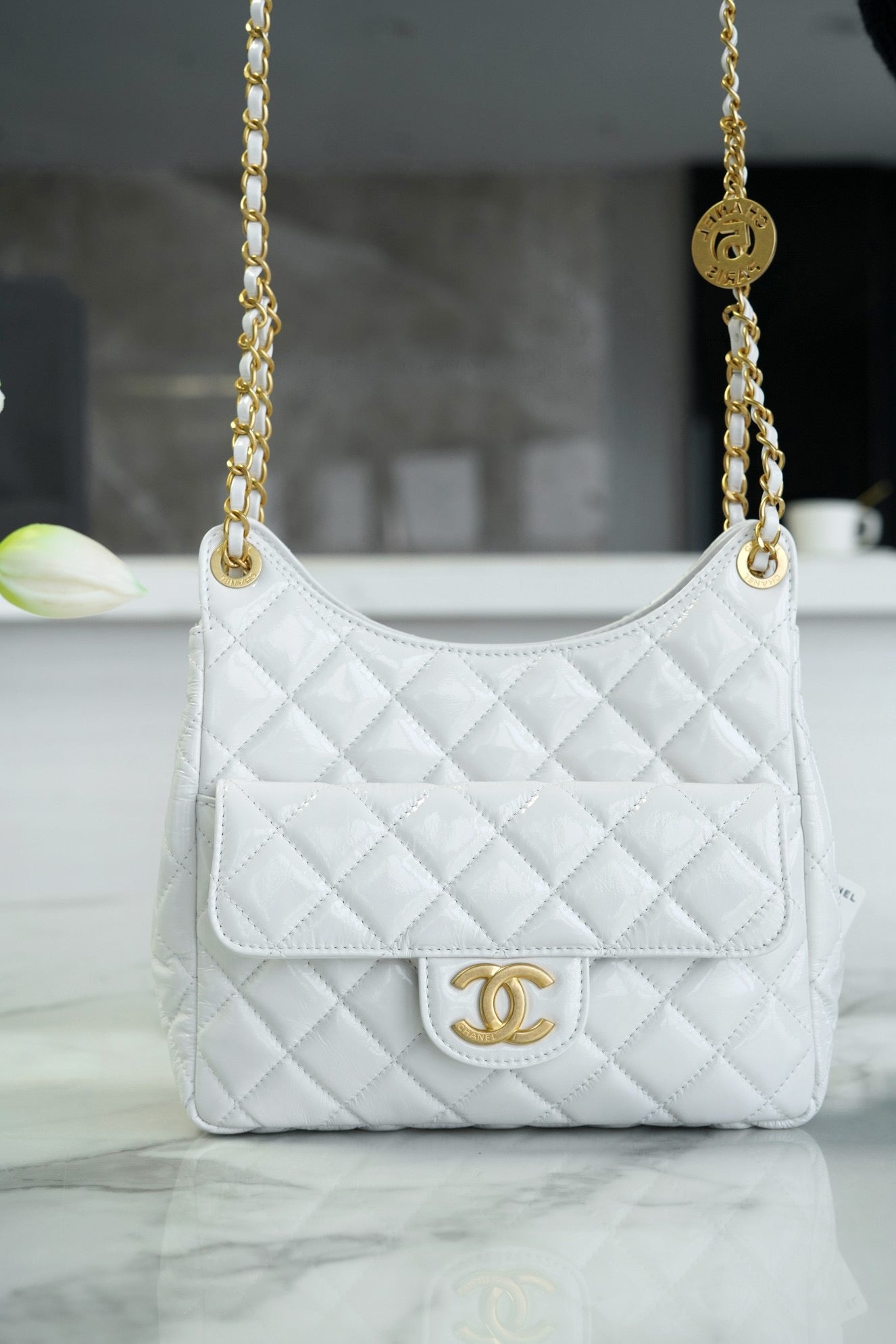 CNL 23C Hobo Bag
