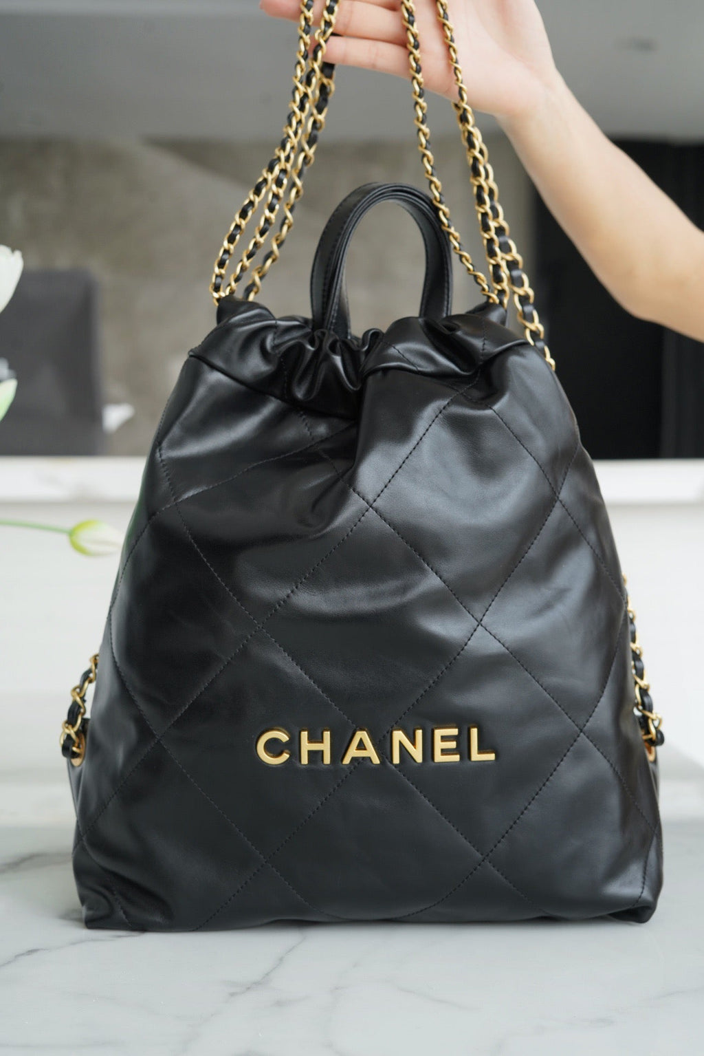 CNL 22 Backpack