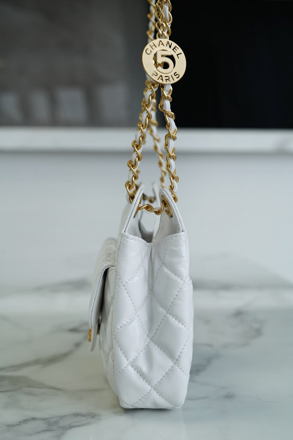 CNL 23C Hobo Bag