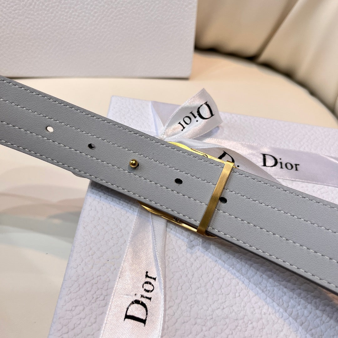 CD Belt