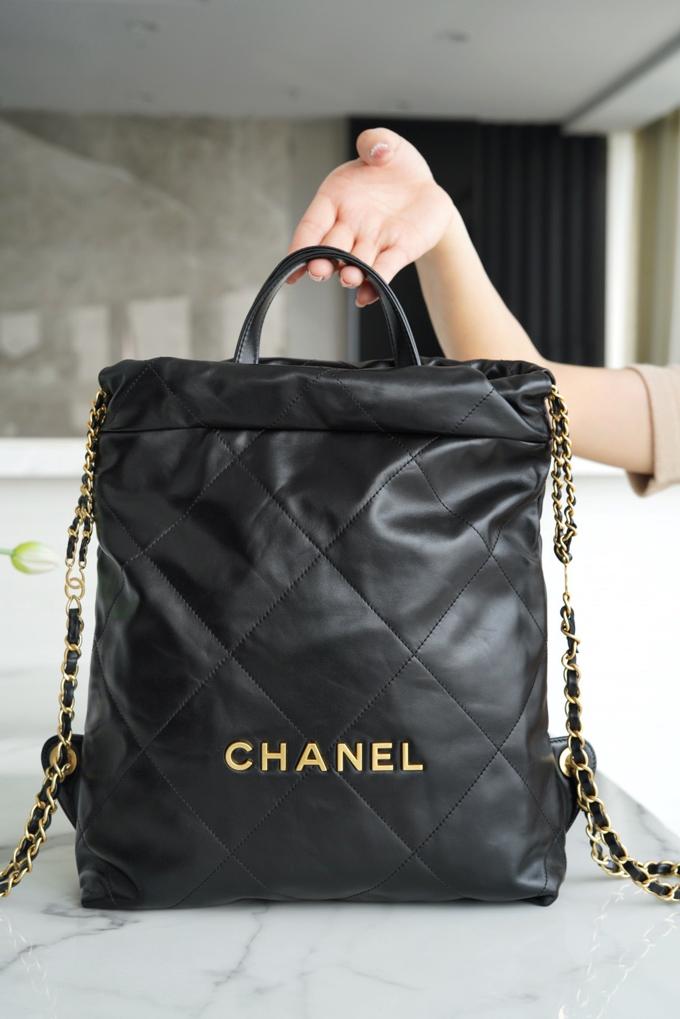 CNL 22 Backpack