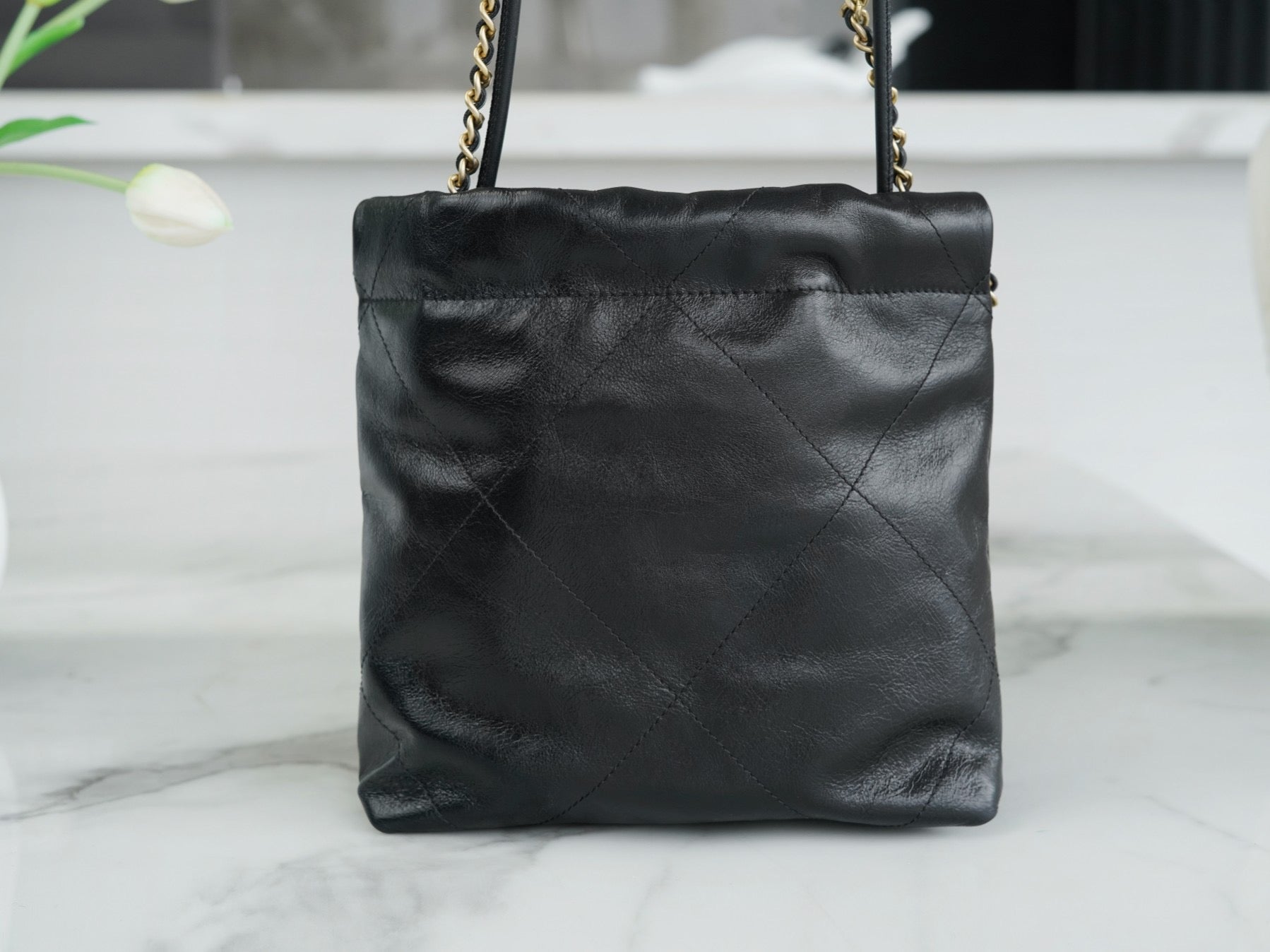 CNL 23S 22 Mini Bag