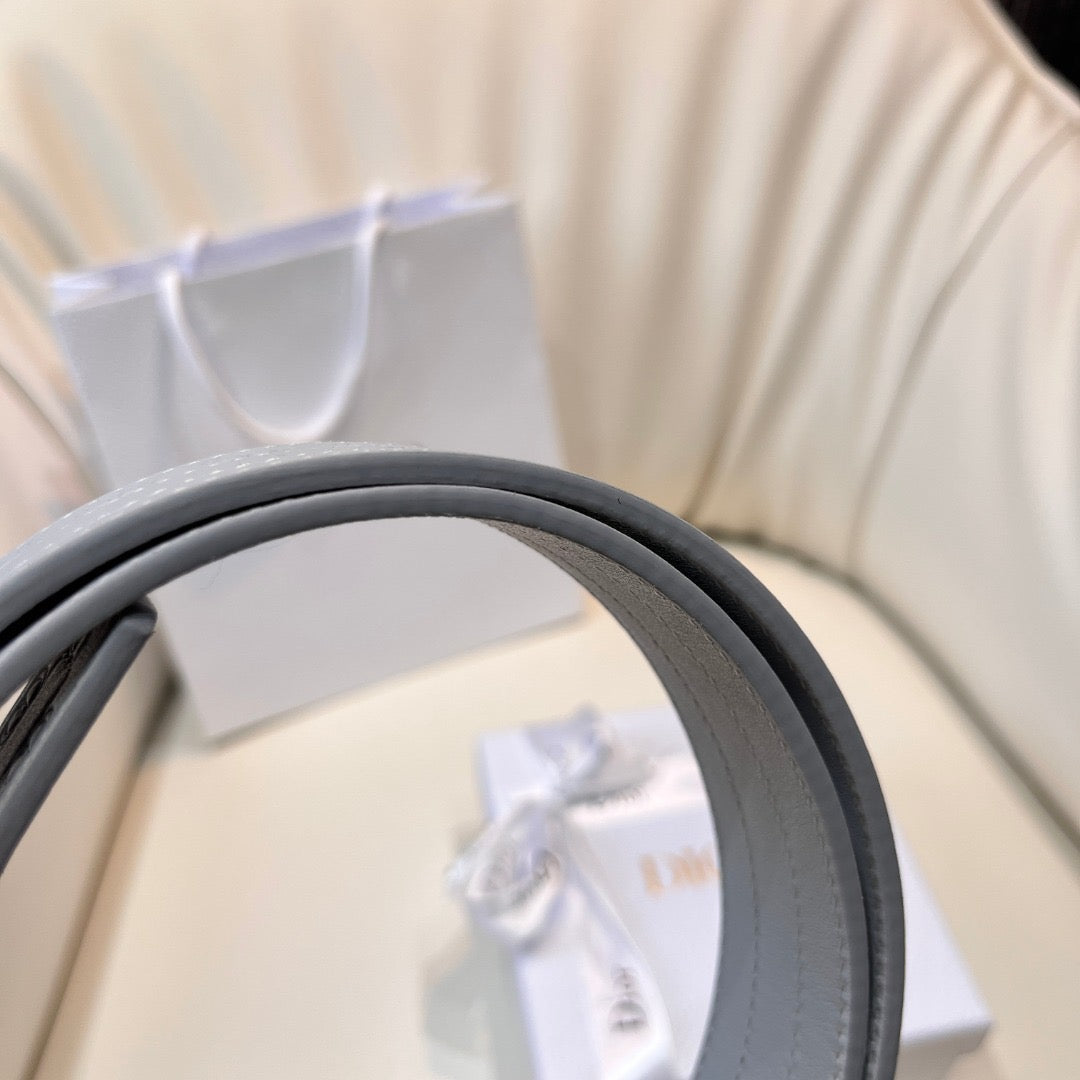 CD Belt